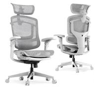 FLEXISPOT ErgoX Pro Silla de Oficina Ergonómica, Gris | Silla Escritorio con 12 Niveles De Altura, Reposabrazos 7D, Soporte Lumbar 5D, Reposacabezas 4D, Carga 250 kg, Asiento Malla