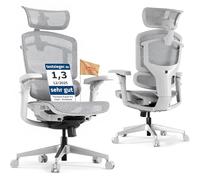 FLEXISPOT ErgoX Pro Silla de Oficina Ergonómica, Gris | Silla Escritorio con 12 Niveles De Altura, Reposabrazos 7D, Soporte Lumbar 5D, Reposacabezas 4D, Carga 250 kg, Asiento Malla
