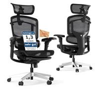 FLEXISPOT ErgoX Pro Silla de Oficina Ergonómica, Negro | Silla Escritorio con 12 Niveles De Altura, Reposabrazos 7D, Soporte Lumbar 5D, Reposacabezas 4D, Carga 250 kg, Asiento Malla
