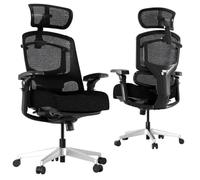 FLEXISPOT ErgoX Pro Silla de Oficina Ergonómica, Negro | Silla Escritorio con 12 Niveles De Altura, Reposabrazos 7D, Soporte Lumbar 5D, Reposacabezas 4D, Carga 250 kg, Asiento Espuma