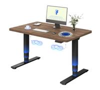 FLEXISPOT Escritorio Elevable 120x80, Doble Motor, Tablero Roble 25mm | Europa del Este, Tablero 25 mm, Mesa Elevable, Altura Ajustable, 4 Memorias, 100 kg, Anticolisión, 5 Años, Café +Negra