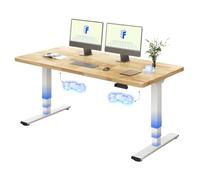 FLEXISPOT Escritorio Elevable 160x80, Doble Motor, Caucho Macizo | Tablero de 25 mm, Mesa Elevable, Altura Ajustable, 4 Memorias, Carga 100 kg, Anticolisión, 5 Años de Garantía, blanco