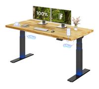 FLEXISPOT Escritorio Elevable 160x80cm Mesa Eléctrico Tablero Roble