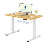 FLEXISPOT Escritorio Elevable Eléctrico 120X60cm con Tablero Entero con 2 Motor, Standing Desk, Mesa Elevable Escritorio de Elevable con 4 Opciones de Memoria Inteligente para Oficina y Hogar((Arce))