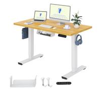 FLEXISPOT Escritorio Elevable Eléctrico 120x60cm, Mesa Escritorio Tablero Entero con Memoria, Sistema Anticolisión, para Oficina, Casa,Teletrabajo y Zona Compacta, Arce