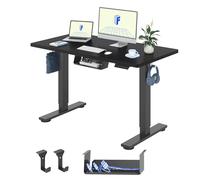 FLEXISPOT Escritorio Elevable Eléctrico 120x60cm, Tablero Entero de Una Pieza,Standing Desk Regulable con Memoria,Sistema Anticolisión,Carga 100KG,Mesa Oficina para Casa,Teletrabajo y Gaming,Negro