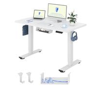 FLEXISPOT Escritorio Elevable Eléctrico 120x60cm, Tablero Entero de Una Pieza,Standing Desk Regulable con Memoria,Sistema Anticolisión,Carga 100KG,Mesa Oficina para Casa,Teletrabajo y Gaming,Blanco