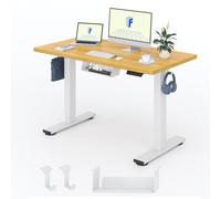 FLEXISPOT Escritorio Elevable Eléctrico 120x60cm, Tablero Entero de Una Pieza,Standing Desk Regulable con Memoria,Sistema Anticolisión,Carga 100KG,Mesa Oficina para Casa,Teletrabajo y Gaming,Arce