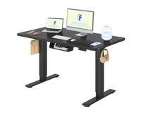 FLEXISPOT Escritorio Elevable Eléctrico 120x80 Doble Motor, Tablero Entero | Tablero Entero 25 mm, Mesa Elevable Altura Ajustable, 100 kg Capacidad, 4 Memorias, Anticolisión, Garantía 5 Años, Negro