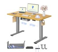 FLEXISPOT Escritorio Elevable Eléctrico 120X80cm con Tablero Entero con 2 Motor, Standing Desk, Mesa Elevable Escritorio de Elevable con 4 Opciones de Memoria Inteligente para Oficina y Hogar-Arce