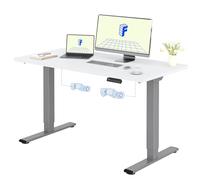 FLEXISPOT Escritorio Elevable Eléctrico 120X80cm con Tablero Entero con 2 Motor, Standing Desk, Mesa Elevable Escritorio de Elevable con 4 Opciones de Memoria Inteligente para Oficina y Hogar-Blanco