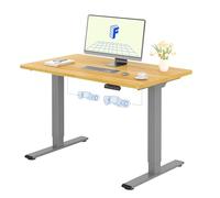 FLEXISPOT Escritorio Elevable Eléctrico 120X80cm con Tablero Entero con 2 Motor, Standing Desk, Mesa Elevable Escritorio de Elevable con 4 Opciones de Memoria Inteligente para Oficina y Hogar-Arce