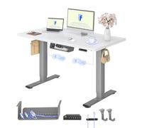 FLEXISPOT Escritorio Elevable Eléctrico 120X80cm con Tablero Entero con 2 Motor, Standing Desk, Mesa Elevable Escritorio de Elevable con 4 Opciones de Memoria Inteligente para Oficina y Hogar-Blanco
