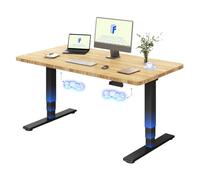 FLEXISPOT Escritorio Elevable Eléctrico 140x80, Doble Motor, Tablero Bambú | Tablero monobloque bambú macizo, Mesa Elevable Altura Ajustable, 100 kg Capacidad, 4 Memorias, Anticolisión, Garantía 5 Años