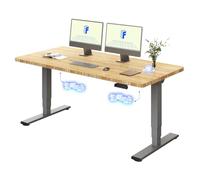 FLEXISPOT Escritorio Elevable Eléctrico 160x80 cm Tablero Bambú Monobloque