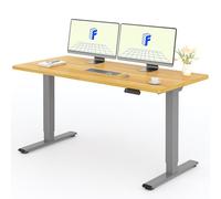 FLEXISPOT Escritorio Elevable Eléctrico 160X80cm con Tablero Entero con 2 Motor, Standing Desk, Mesa Elevable Escritorio de Elevable con 4 Opciones de Memoria Inteligente para Oficina y Hogar-Arce