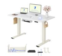 FLEXISPOT Escritorio Elevable Eléctrico con Tablero Completo y Doble Motor, 120x80 cm, Altura Regulable con Memoria, Accesorios incluidos, Sistema Anticolisión, Mousse Blanco+Blanco