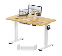 FLEXISPOT Escritorio Elevable Eléctrico con Tablero Entero 120 * 60 * 1.6cm, Standing Desk Estánder, Regulable en Altura 71-121cm｜con 4 Opciones de Memoria Inteligente para Oficina y Hogar
