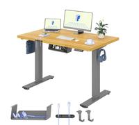 FLEXISPOT Escritorio Elevable Eléctrico con Tablero Entero 120 × 80 cm