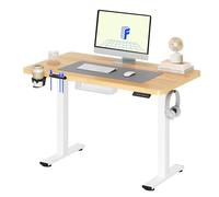 FLEXISPOT Escritorio Elevable Eléctrico Mesa Escritorio con Tablero 110x54cm, Standing Desk, Mesa Elevable con 2 Ganchos, Portavasos y Organizador de Cables, 4 Botones de Memoria, para Oficina & Hogar
