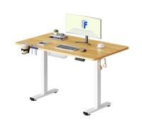 FLEXISPOT Escritorio Elevable Eléctrico Mesa Escritorio con Tablero 110x54cm, Standing Desk, Mesa Elevable con 2 Ganchos, Portavasos y Organizador de Cables, 4 Botones de Memoria, para Oficina & Hogar