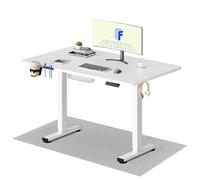 FLEXISPOT Escritorio Elevable Eléctrico Mesa Escritorio con Tablero 110x54cm, Standing Desk, Mesa Elevable con 2 Ganchos, Portavasos y Organizador de Cables, 4 Botones de Memoria, para Oficina & Hogar