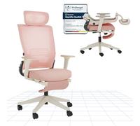 FLEXISPOT FOLDEX Silla de Oficina Ergonómica, Silla de Oficina Plegable con Apoyo Lumbar, Reposabrazos Regulables en Altura, Reposacabezas 2D, Silla de Escritorio de Malla para Oficina Casa-Kirsch