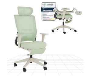 FLEXISPOT Silla de Oficina Ergonómica, Silla de Oficina Plegable con Apoyo Lumbar, Reposabrazos Regulables en Altura, Reposacabezas 2D, Silla de Escritorio de Malla para Oficina Casa-Ivy