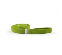 FLEXVIT Multi Limón Ligero (2/4) - Banda elástica con Asas para Entrenamiento Funcional, 2450 mm, Made in Germany