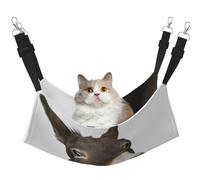 FLGHJNBJN Funny Donkey - Hamaca acogedora para gatos, cama con percha de ventana, cama ajustable para mascotas con terciopelo suave para gatos de interior