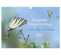 Fliegende Schmetterlinge (Wandkalender 2027 DIN A4 quer), CALVENDO Monatskalende