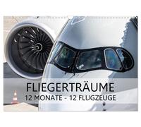 Fliegerträume: 12 Monate, 12 Flugzeuge (Wandkalender 2027 DIN A3 quer), CALVENDO