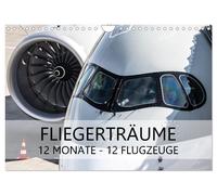 Fliegerträume: 12 Monate, 12 Flugzeuge (Wandkalender 2027 DIN A4 quer), CALVENDO