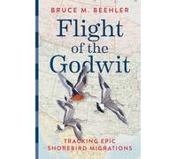 Flight of the Godwit: Tracking Epic Shorebird Migrations