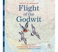 Flight of the Godwit: Tracking Epic Shorebird Migrations