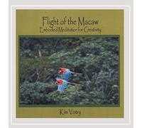 Flight of the Macaw: Embodied Meditation for Creat