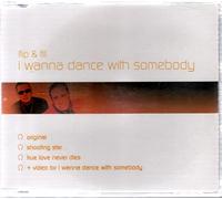 Flip & Fill - I Wanna Dance With Somebody