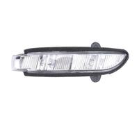 Flisdtry Luz intermitente para espejo de puerta izquierda para W211 W221 W219 2007-2011 E320 E350 E550 E63 2198200521