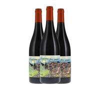 Flo Busch Heureux qui Comme Vin de Pays Languedoc 75 cl Vino tinto (Caja de 3 Botellas de 75 cl)