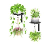 Floating Iron Frame - Botanical Support Shelf, Space Saving Decor with Sturdy Metal Build, Indoor Outdoor Accent, Balcony Garden Mount, Decorative Display Organizer for Plant Arrangement and Home