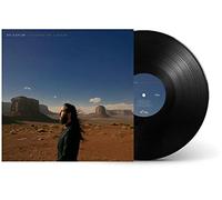 Floating On A Dream [Vinilo]