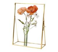 Floating Picture Frame - Flower Press Frame, 4x6 Inch Double Glass Metal Display Frames, Tabletop Keepsake Holder for Dried Flowers Clovers Photos Small Artwork | Home Office Desk Decorative Display