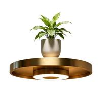 Floating Shelves for Bedroom Space -Saving Planter Rack with LED Light