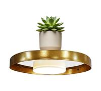 Floating Shelves | for Bedroom Space-Saving Planter Storage Rack with LED | Floating Kitchen Shelves for Study Apartment College Laundry Home Corner Dorm Workplace Kitchen Bedroom