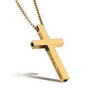 Flongo Collar de Cruz para Control de Ansiedad - Versículo Grabado I CAN DO ALL THINGS - Joyería de Fe en Acero Inoxidable Dorado y Plateado para Hombres y Mujeres - Colgante de Inspiración y Calma