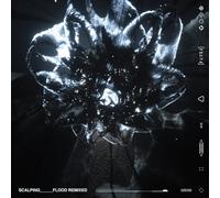 Flood Remixed [Vinilo]