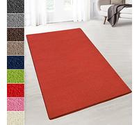 Floordirekt Alfombra de terciopelo a medida, mullida para cocina, pasillo o salón, venta por metros, diseño de dinastía, color rojo, 80 x 500 cm