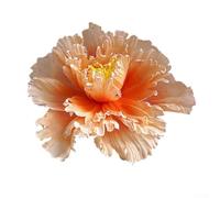 Flor artificial de la peonía del accesorio del acontecimiento de la boda con la cabeza floral de los 30cm para las cabinas de fotos Tablescapes y mejora del lugar (naranja)