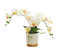 Flor artificial de orquídea Phalaenopsis bonsái en elegante maceta con borde de oro blanco, suelo simulado que crea un aspecto realista para decoración de interiores (blanco)