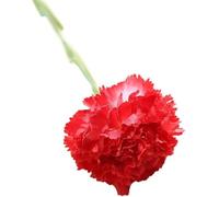 Flor artificial, Flores artificiales, claveles de seda, ramo individual con soporte y tallo, decoración artística(Red)